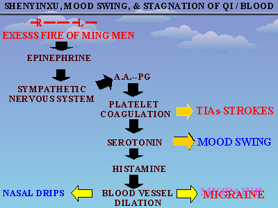 Slide 12