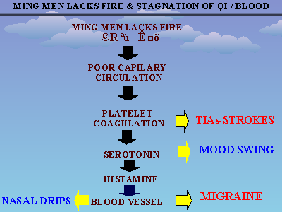 Slide 13