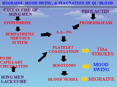 Slide 15