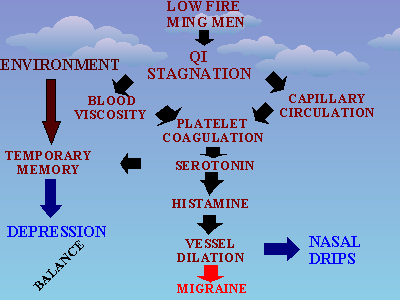 Slide 16